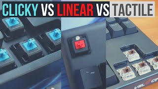 Clicky Vs Tactile Vs Linear Mechanical Keyboard Switches with Sound Tests And Examples [upl. by Nautna782]