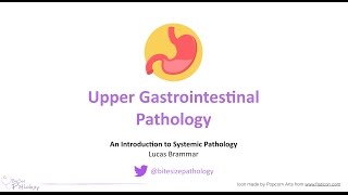 Upper Gastrointestinal GI Pathology  Introduction to Systemic Pathology [upl. by Estren]