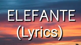 NK  ELEFANTE Lyrics • [upl. by Sheply]