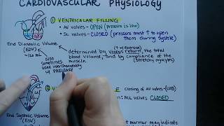 Cardiac Cycle  Cardiovascular Physiology [upl. by Krall223]