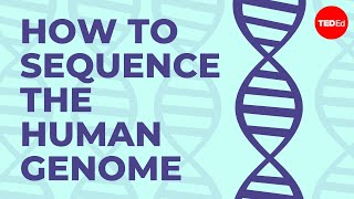 How to sequence the human genome  Mark J Kiel [upl. by Heidt]