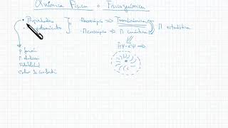 Fisicoquímica o Química Física Definición [upl. by Kumagai66]