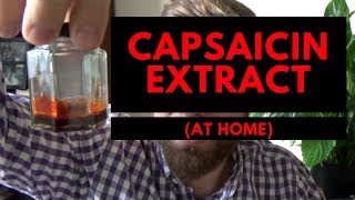 Make Capsaicin  At Home [upl. by Eellah]