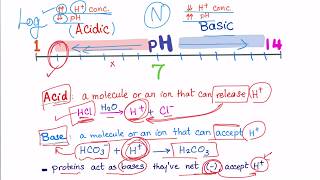 Acid Base Disorders part 2 acidosis vs acidemia [upl. by Liatnahs]