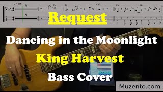 Dancing in the Moonlight  King Harvest  Bass Cover  Request [upl. by Kariv]