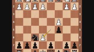 Chess Openings Benoni Defense [upl. by Etneciv]