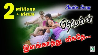 Elangathu Song  Pithamagan  Vikram  Suriya  Ilayaraja [upl. by Lole]