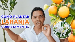 Como Plantar LARANJA para Rápida Frutificação em vaso [upl. by Center]