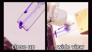 How to Gram Stain Bacteria  Techniques Demonstration [upl. by Lorry]