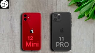 iPhone 12 Mini vs iPhone 11 Pro [upl. by Lee]