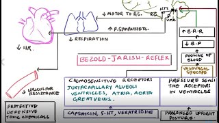 Jarisch Herxheimer Reaction All you need to know [upl. by Arda]