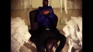 Fally Ipupa  Nyokalessé Clip Officiel [upl. by Coleen]