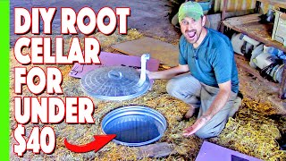 Our Simple Inexpensive Root Cellar Build [upl. by Nylemaj]