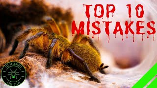 TOP 10 Mistakes Keeping Tarantulas amp Spiders  DONT DO THIS [upl. by Muiram]