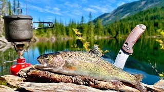 48H SOLO Backpacking amp MOUNTAIN TROUT Fishing Catch Cook Camp [upl. by Wanda368]