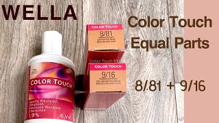 HOW TO USE WELLA COLOR TOUCH  SHADES 881  916 Blending GreyBlonde Hair SEMI PERMANENT COLOUR [upl. by Dimitri]