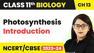 Class 11 Chapter 13  Photosynthesis Introduction  Photosynthesis in Higher Plants [upl. by Nata843]