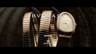 Bulgari Serpenti  The Story Behind One of the Most Iconic Ladies Watches Ever [upl. by Cheke]