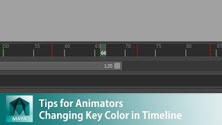 Tips for Animators Changing Key Color in Timeline [upl. by Wallache]