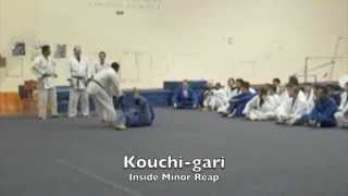 15 BASIC JUDO THROWS  LA VALLEY COLLEGE [upl. by Ynar899]