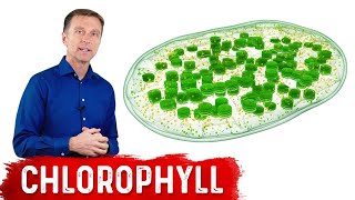 9 Proven Benefits of Chlorophyll [upl. by Feledy829]