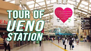 Tour of Ueno Station 上野駅 4K  JAPAN WALKING TOURS [upl. by Elin945]