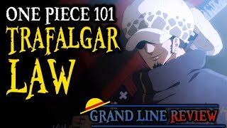 Trafalgar Law Explained One Piece 101 [upl. by Albers]