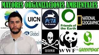 Las organizaciones ambientales más importantes [upl. by Lynnelle45]