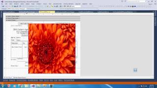 Crystal Reports Dynamic image [upl. by Yeloc880]