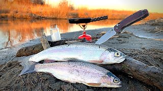 RAINBOW TROUT Fishing CLEAR REMOTE Creek Catch amp Cook [upl. by Evslin752]