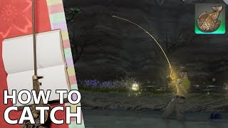 🌱How to catch Drepanaspis in FFXIV [upl. by Viridi]