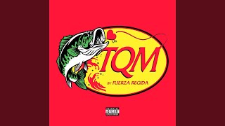 TQM [upl. by Einal]