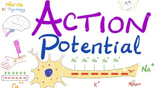 Action Potential  Most COMPREHENSIVE Explanation  Nerve Physiology [upl. by Aryajay]