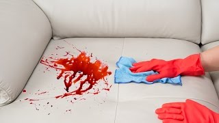 How To Remove a Stain from a Sofa [upl. by Sidell]