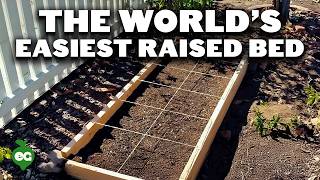 How to Build Cheap DIY Raised Garden Beds In Under 30 Minutes [upl. by Esiralc]