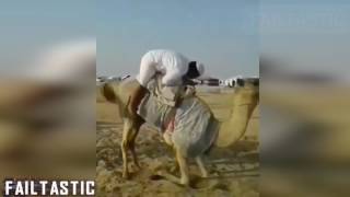 Arabic Funny Video Collection  Failtastic 2017 [upl. by Dailey]