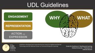 Universal Design for Learning Part 2 UDL Guidelines [upl. by Bohon]