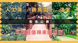 【香港好去處】香港公園．3個超值得去的地方．觀鳥園．溫室．人工湖｜Visiting Hong Kong Park [upl. by Jepson]