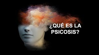 ¿Qué es la Psicosis [upl. by Brosine523]