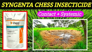 Chess insecticide  Pymetrozine50WG  Syngenta chess  Chess insecticide price dose work result [upl. by Nilyarg591]