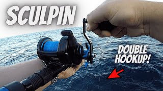 Best RIGS amp BAIT For Sculpin SURPRISE CATCHES amp LIMITS [upl. by Mabelle562]