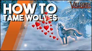 How To Tame Wolves In Valheim A QUICK amp EASY Guide To Wolf Taming [upl. by Paff]