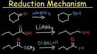 NaBH4 LiAlH4 DIBAL Reduction Mechanism Carboxylic Acid Acid Chloride Ester amp Ketones [upl. by Nosdrahcir]