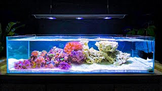 How I Built My Shallow Reef Tank How To Make a Reef Tank [upl. by Nivlem589]