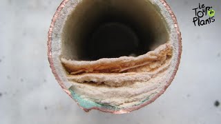 Easy How To clean a faucet and calcified minerals using household vinegar [upl. by Conlan815]