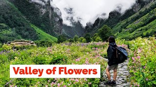 Valley of Flowers Trek  Uttarakhand  Heaven on Earth [upl. by Arocet]