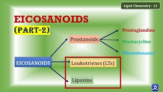 12 Eicosanoids part 2 Leukotrienes Lipoxins  Lipid Chemistry12  Biochemistry [upl. by Ayocal299]