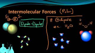 Chemistry 49 Intermolecular Forces [upl. by Nelyag491]