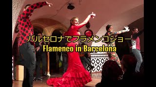 バルセロナで最高のフラメンコショー Flamenco in Barcelona [upl. by Wyn]