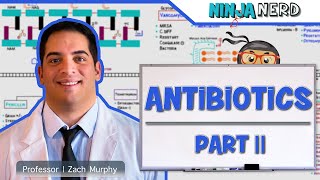 Antibiotics Folic Acid Pathway Inhibitors Part 2 [upl. by Dedie352]